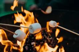 Cooking marshmallows over a campfire