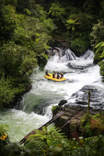 People white water rafting in a forest